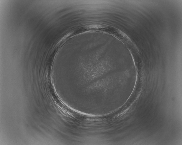 X0000080750825200701051208