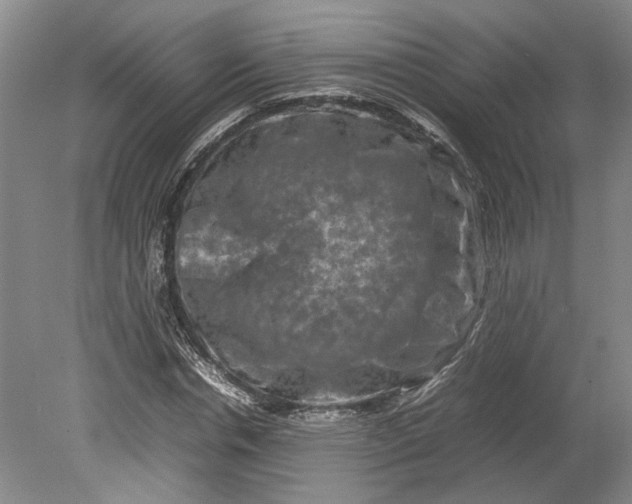 X0000080750826200701051208