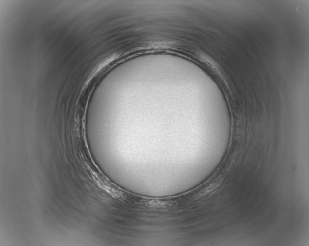 X0000080750827200701051208