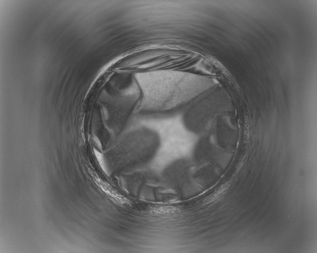 X0000080750830200701051208