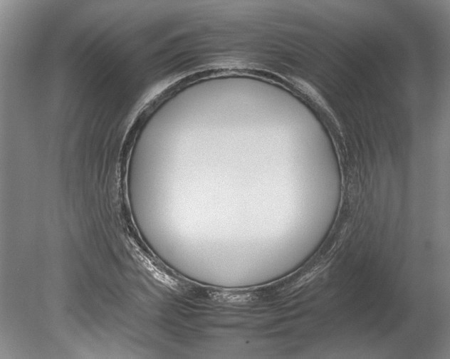 X0000080750831200701051208