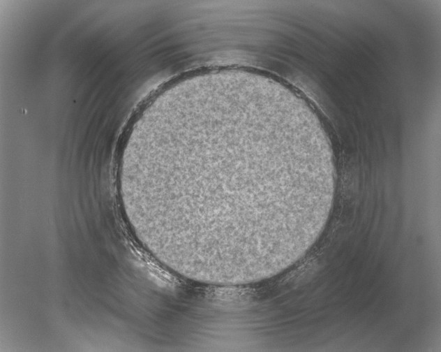X0000080750832200701051208