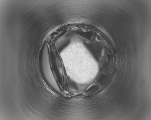X0000080750834200701051208