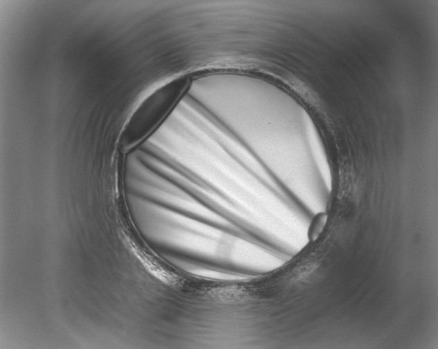 X0000080750838200701051208