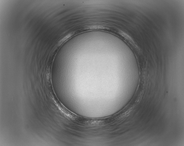 X0000080750841200701051208