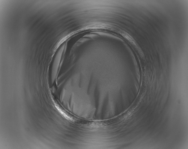 X0000080750842200701051208