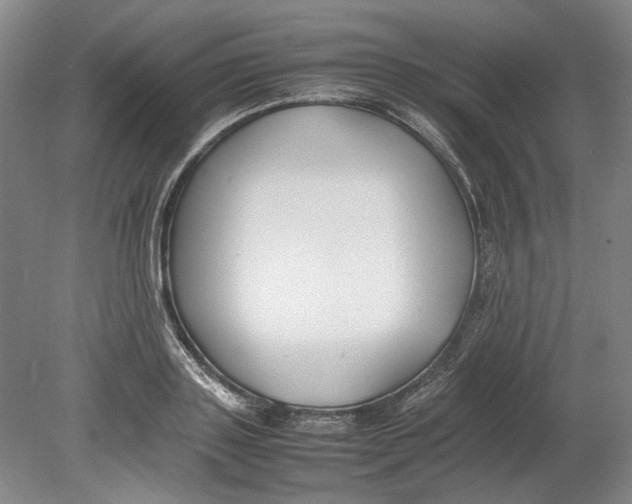 X0000080750843200701051208