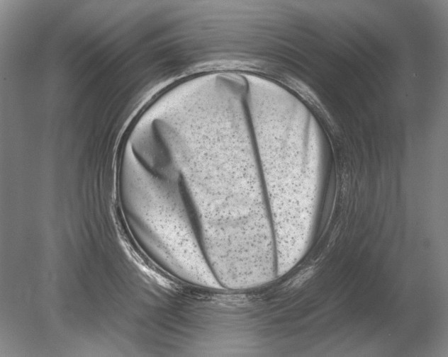 X0000080750844200701051208