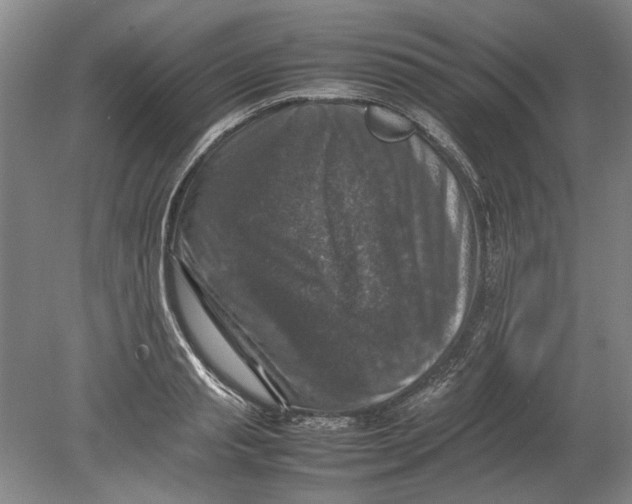 X0000080750845200701051208