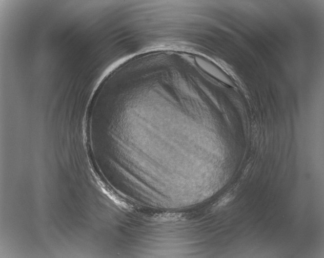 X0000080750846200701051208