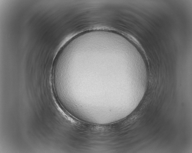 X0000080750847200701051208