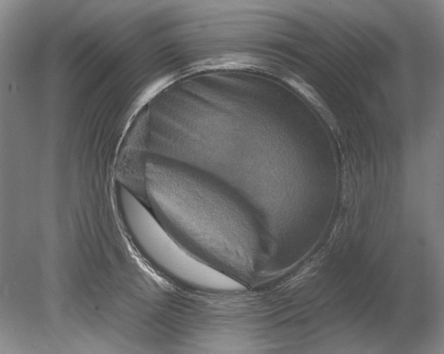 X0000080750850200701051208