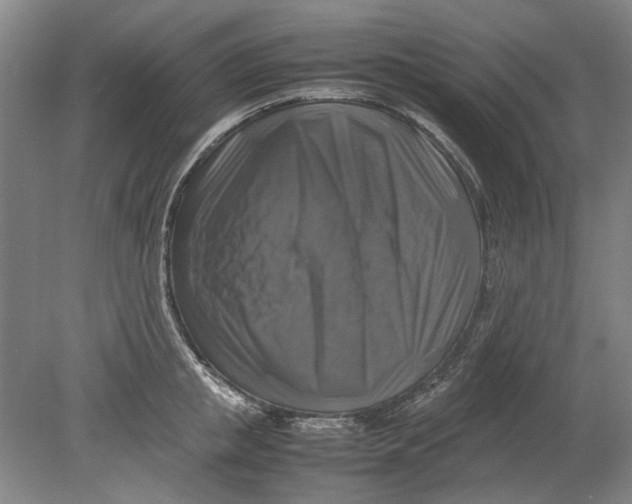 X0000080750853200701051208