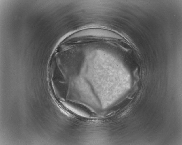 X0000080750854200701051208