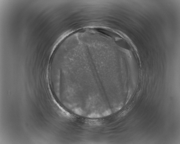 X0000080750855200701051208