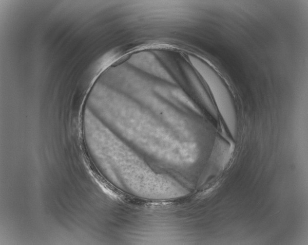 X0000080750858200701051208