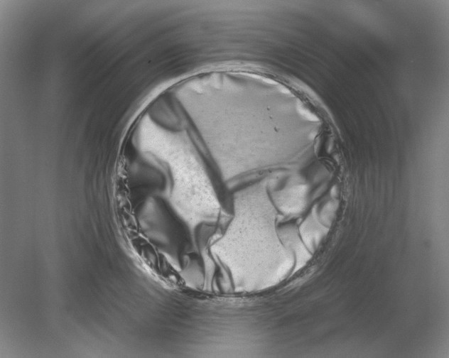 X0000080750860200701051208