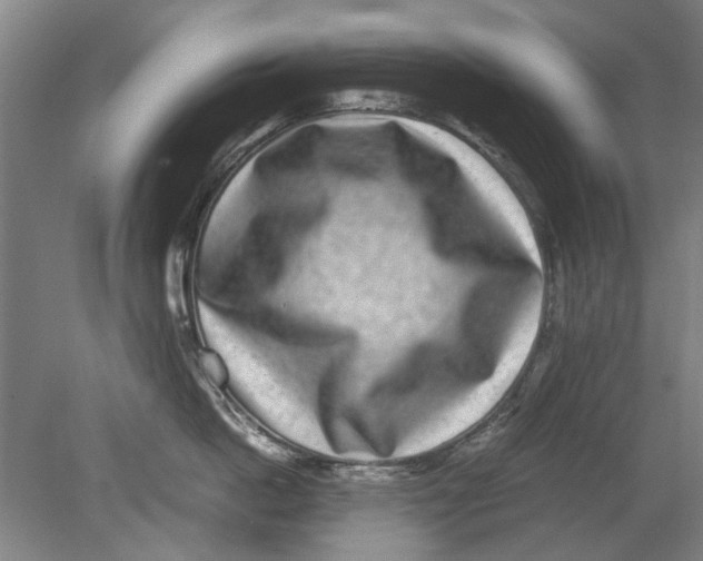 X0000080750862200701051208