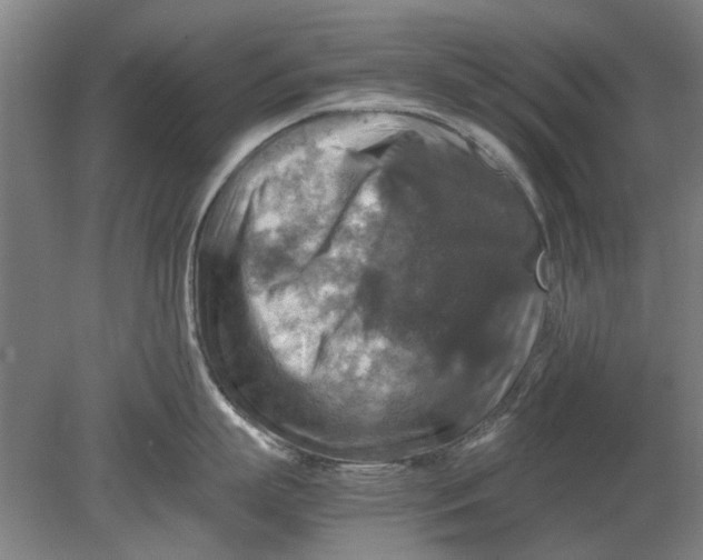 X0000080750863200701051209