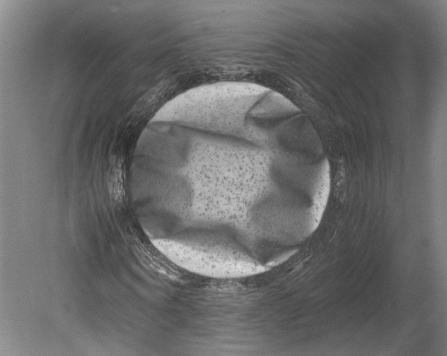 X0000080750866200701051208