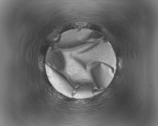 X0000080750867200701051208