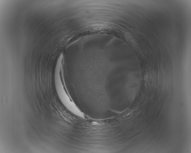 X0000080750868200701051208