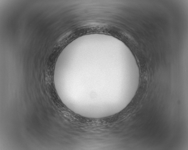 X0000080750869200701051208