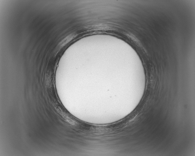 X0000080750873200701051208