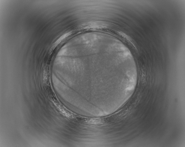 X0000080750874200701051208