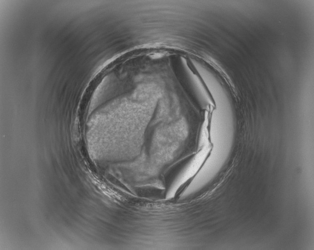 X0000080750876200701051208