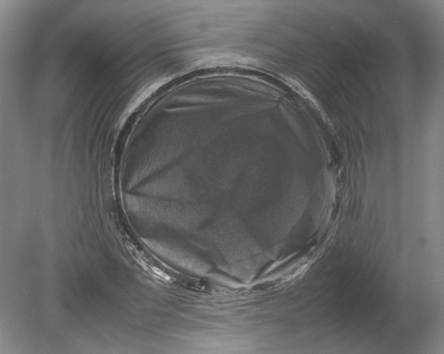 X0000080750877200701051208