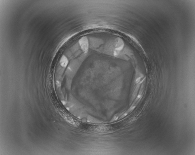 X0000080750879200701051207