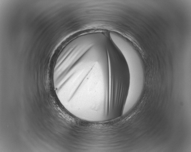 X0000080750880200701051207