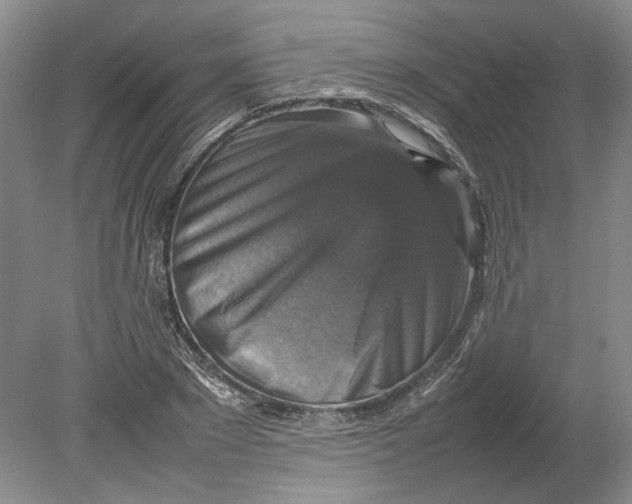 X0000080750881200701051207