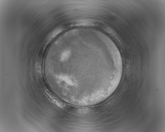 X0000080750882200701051207