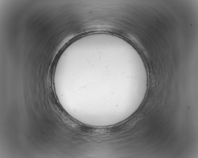 X0000080750883200701051207
