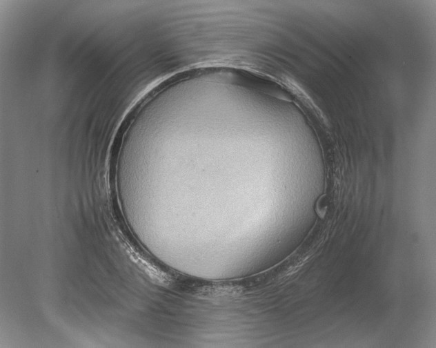 X0000080750884200701051207