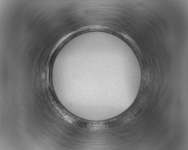X0000080750886200701051207