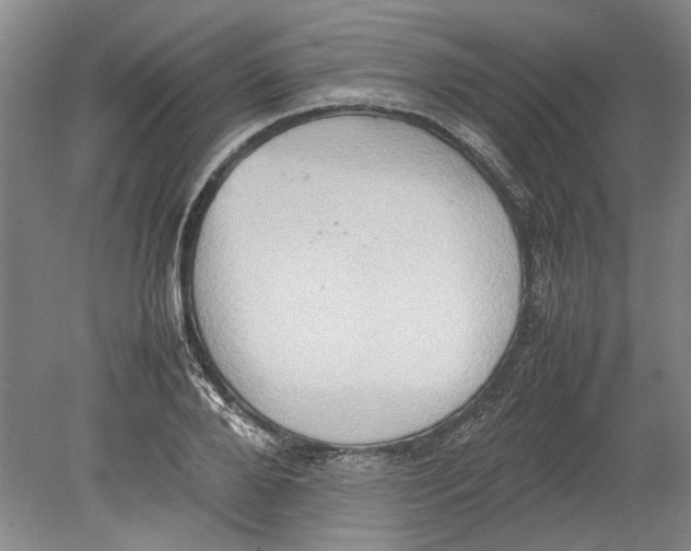 X0000080750888200701051207