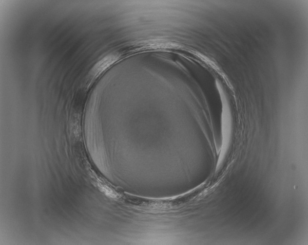 X0000080750889200701051207