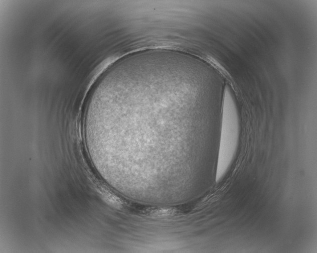 X0000080750891200701051207
