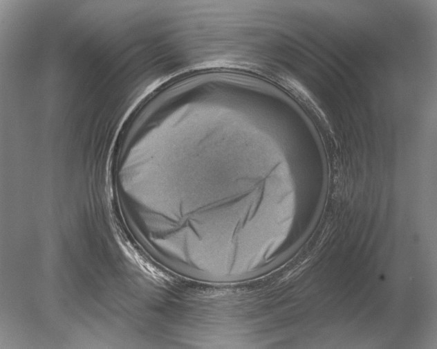 X0000080750892200701051207