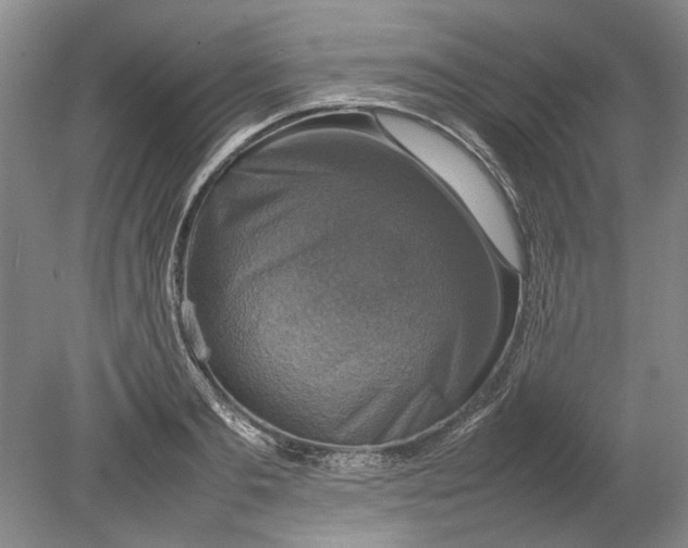 X0000080750893200701051207
