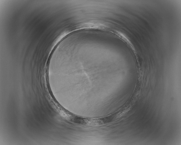 X0000080750899200701051207