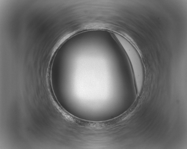 X0000080750901200701051207