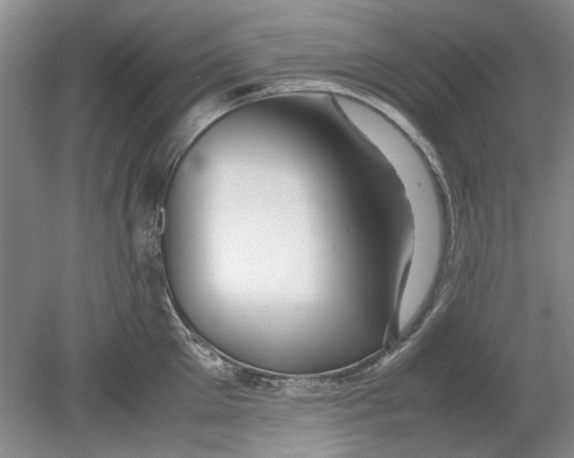 X0000080750905200701051207