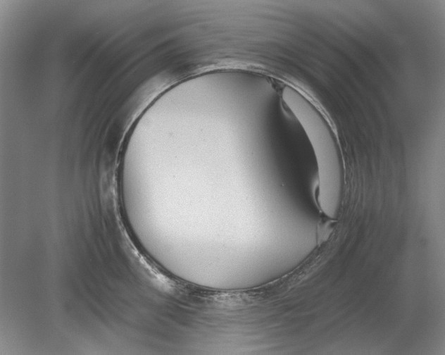 X0000080750906200701051207