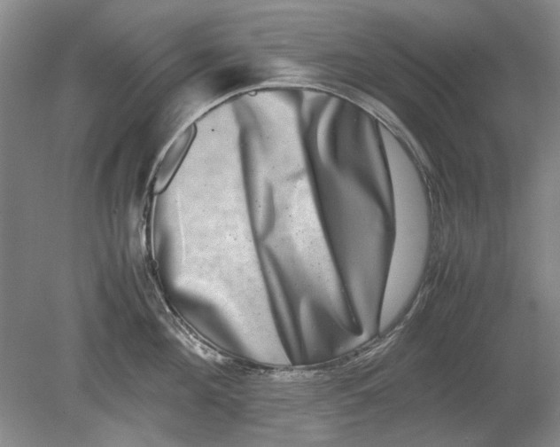 X0000080750908200701051207