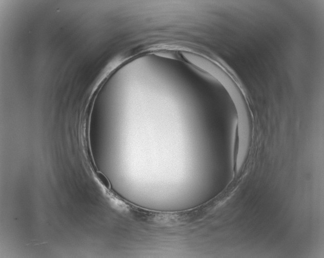 X0000080750909200701051207