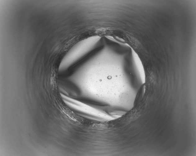 X0000080750914200701051206